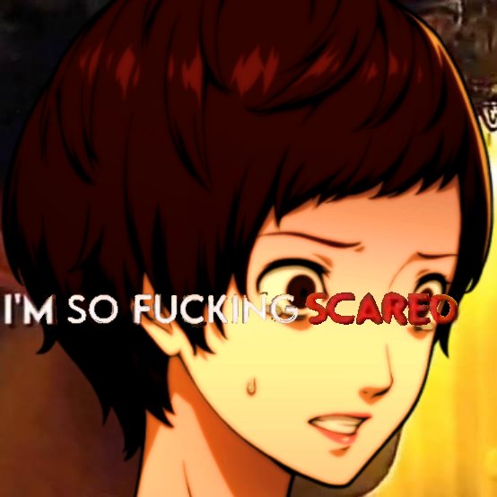 Rumi 🌷 tweet media