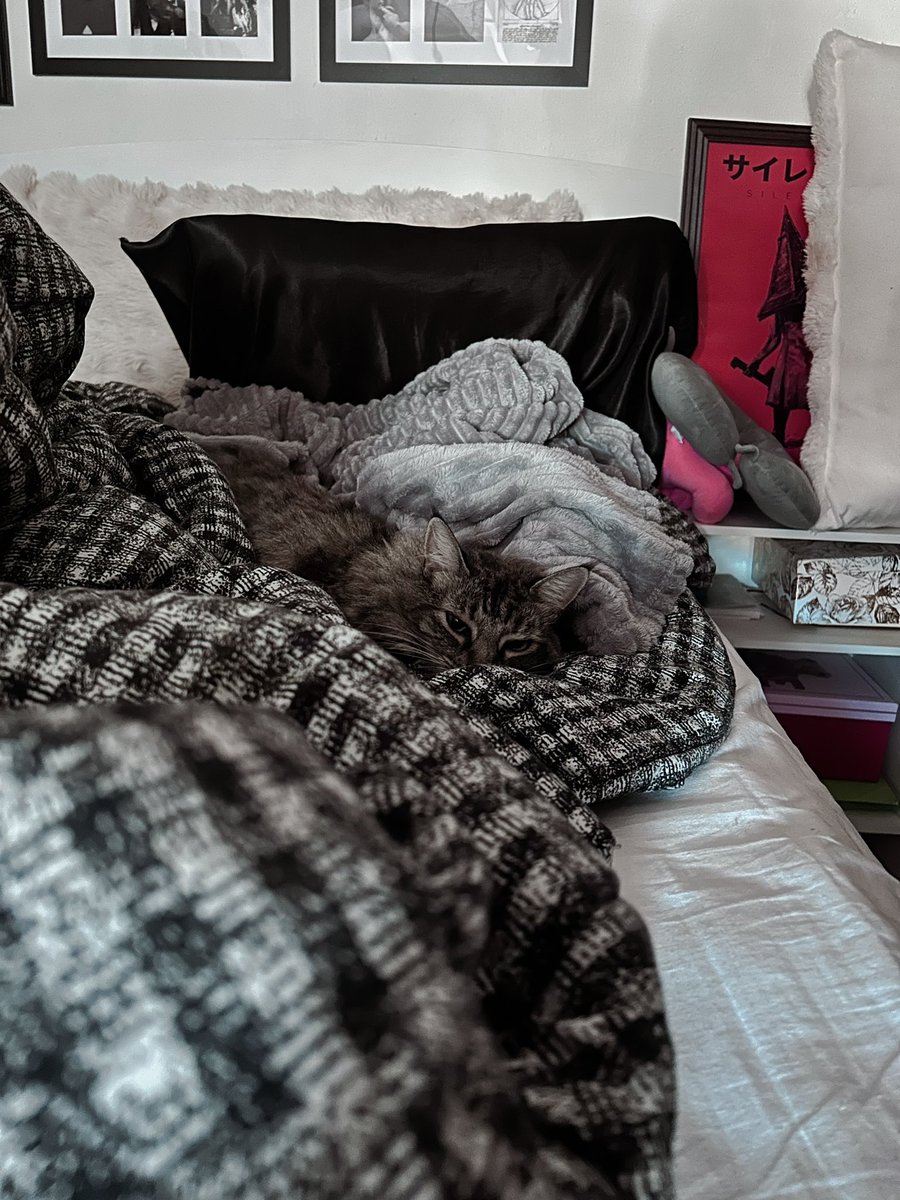 Deméter ♦️ tweet media