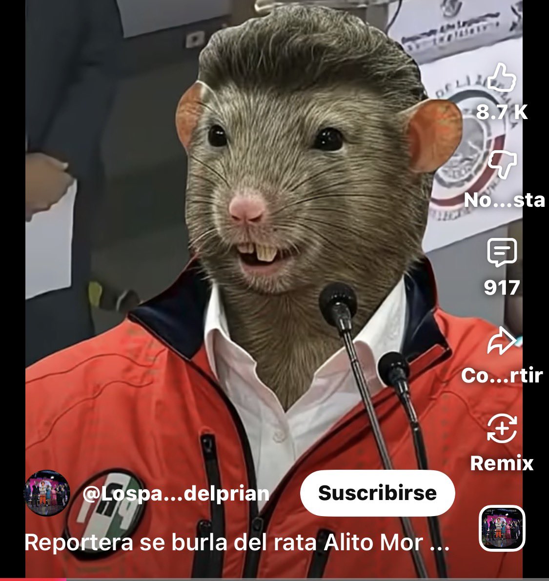 José Estala tweet media