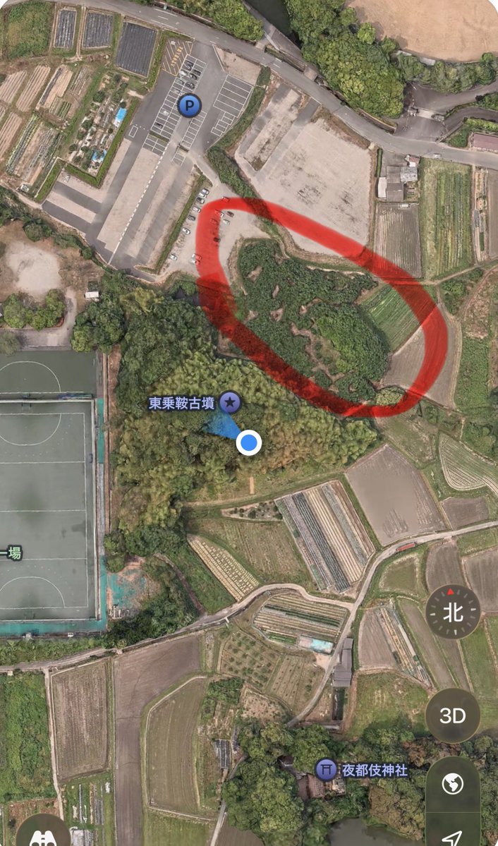 Sou_curator tweet media