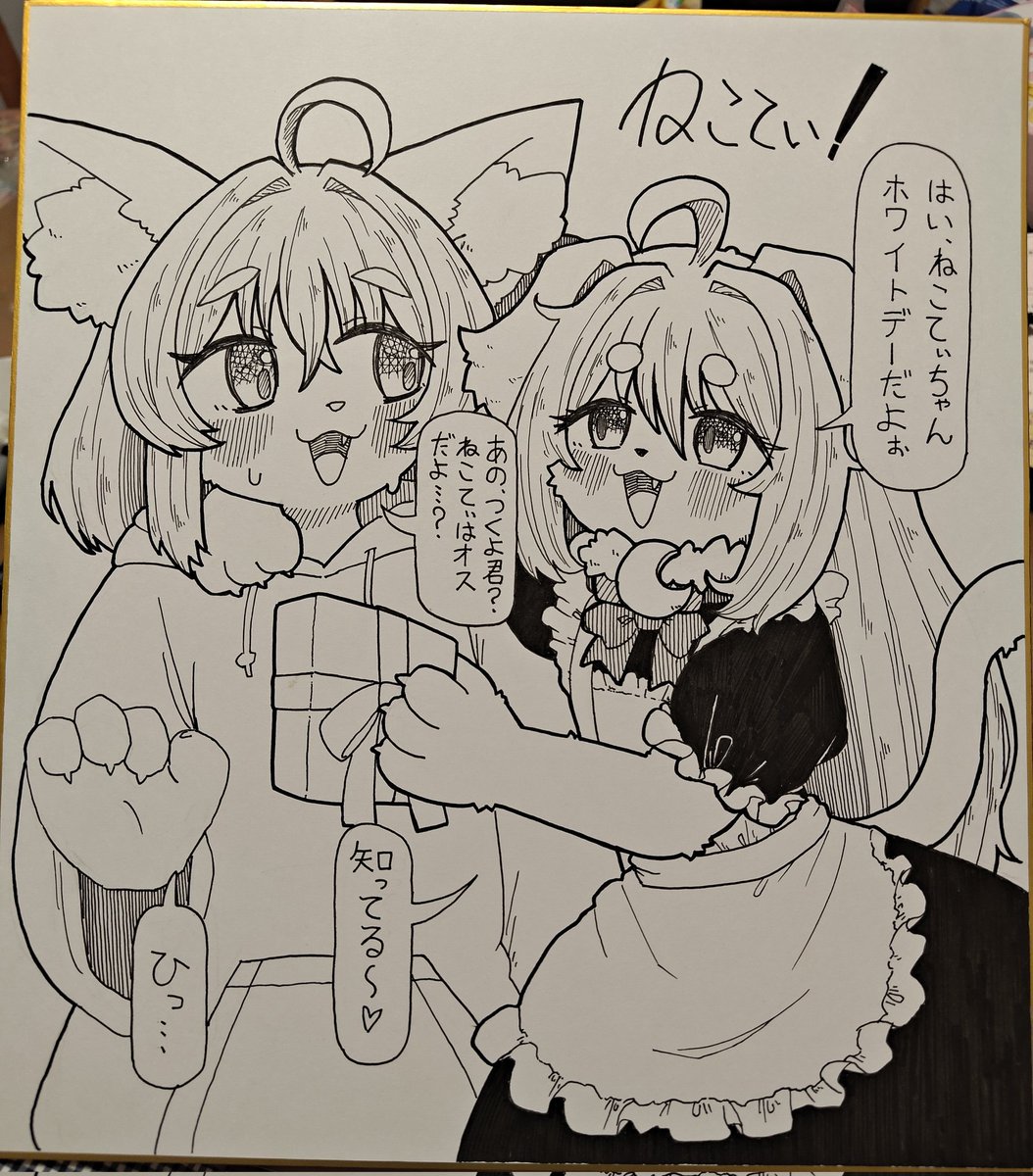 ねこてぃ！✨️😽26年5/20単行本発売！📚️✨️ tweet media