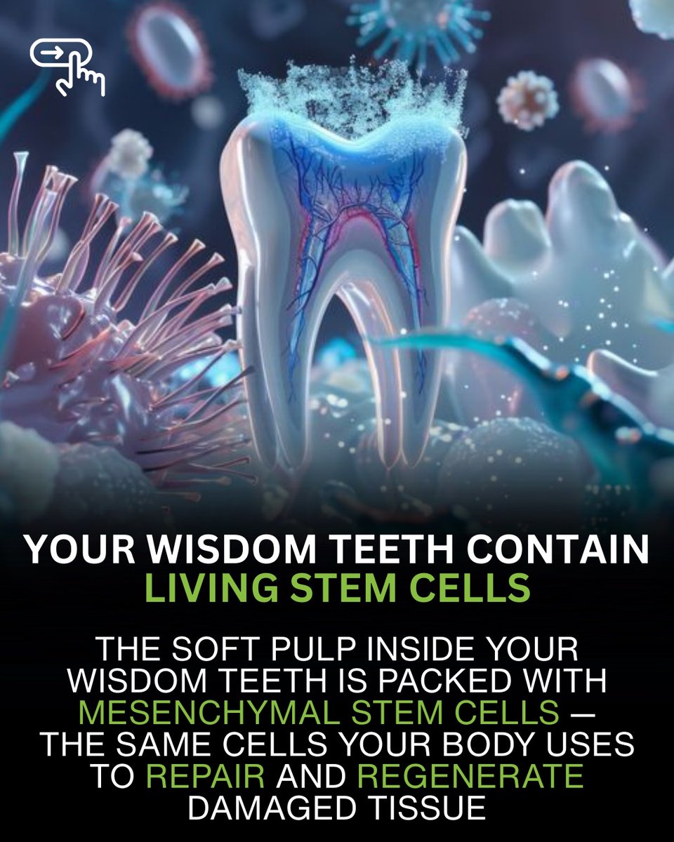 Manifest_Lord tweet media