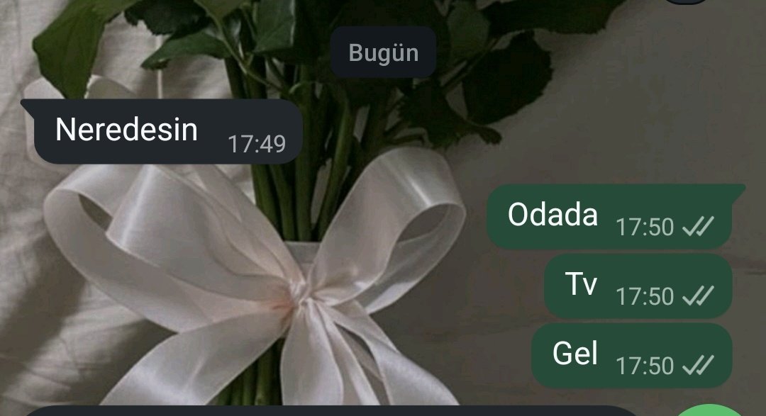 favori yeğenim evde beni ararkene (bin kisinin icinde