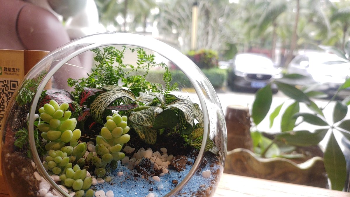 michael  alonso tweet media