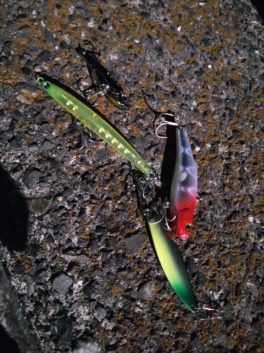 #ひつじ# tweet media