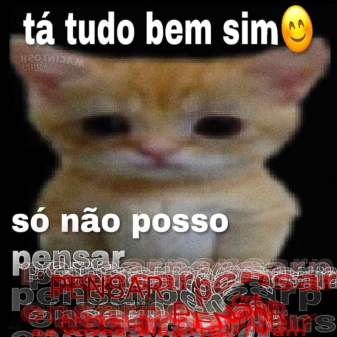 Traficante de Memes tweet media