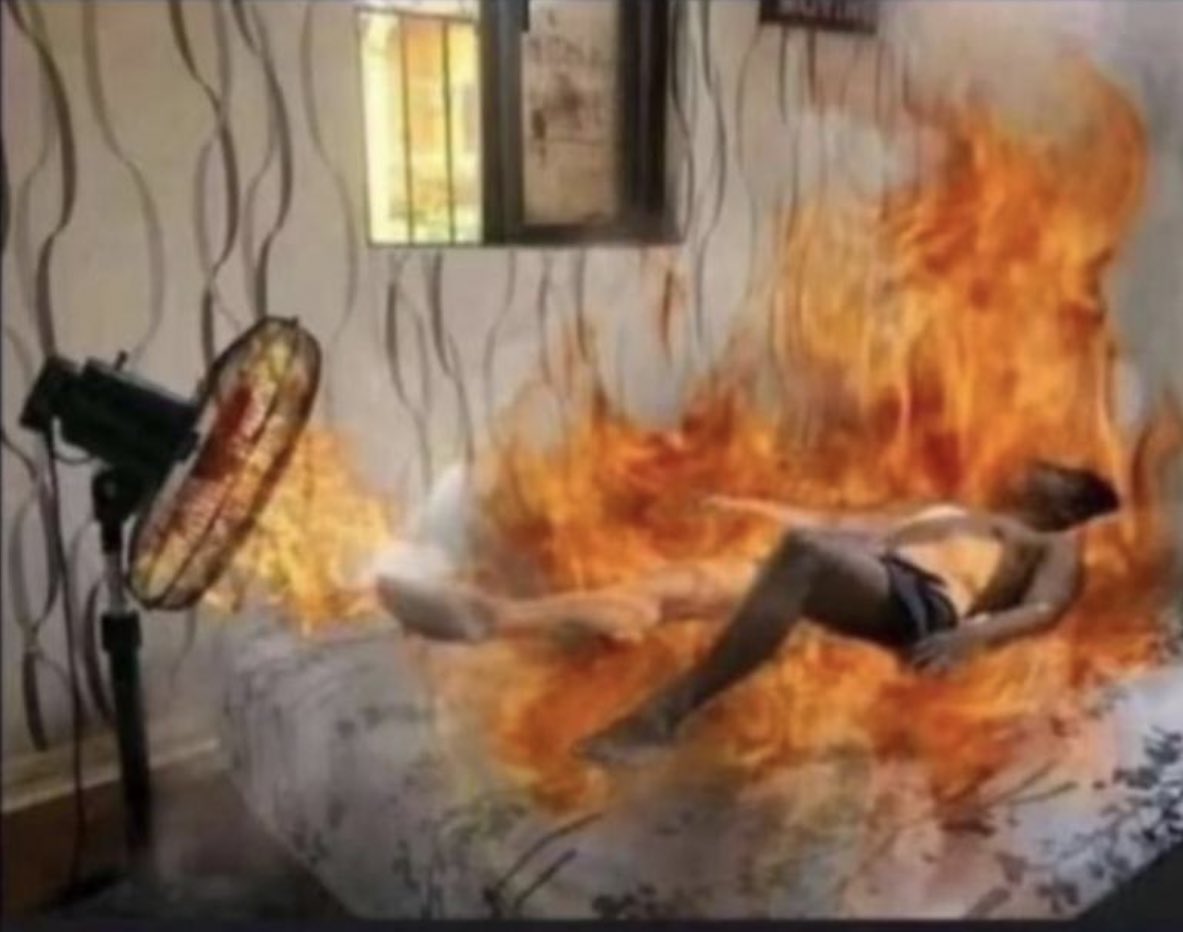 Torgbuigà tweet media