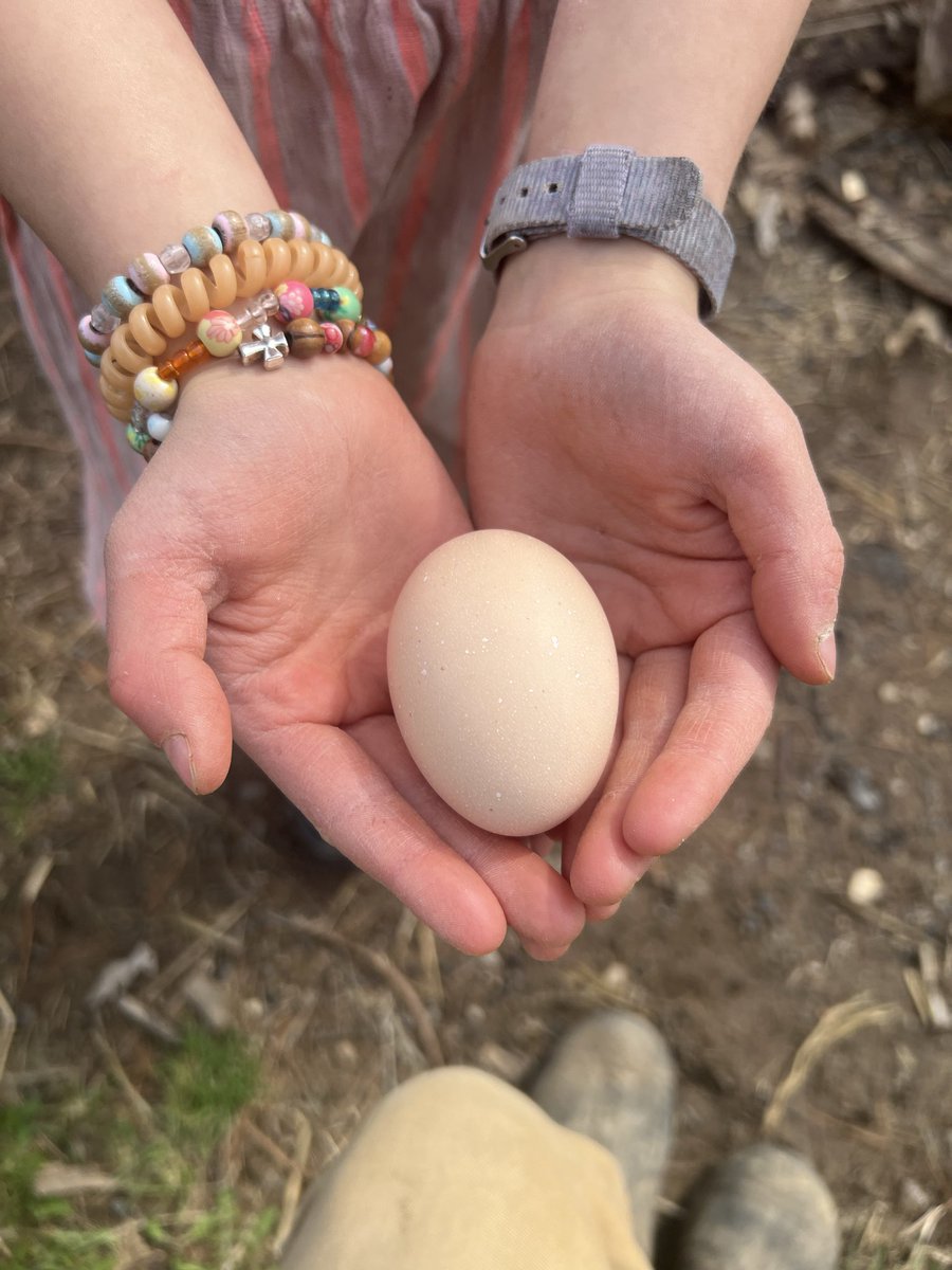 Mathew with Cottage Pastures tweet media