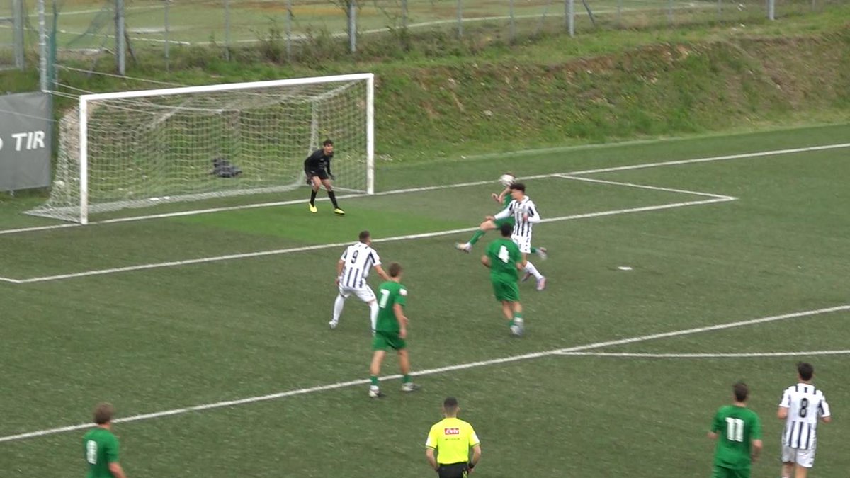 Picenotime tweet media