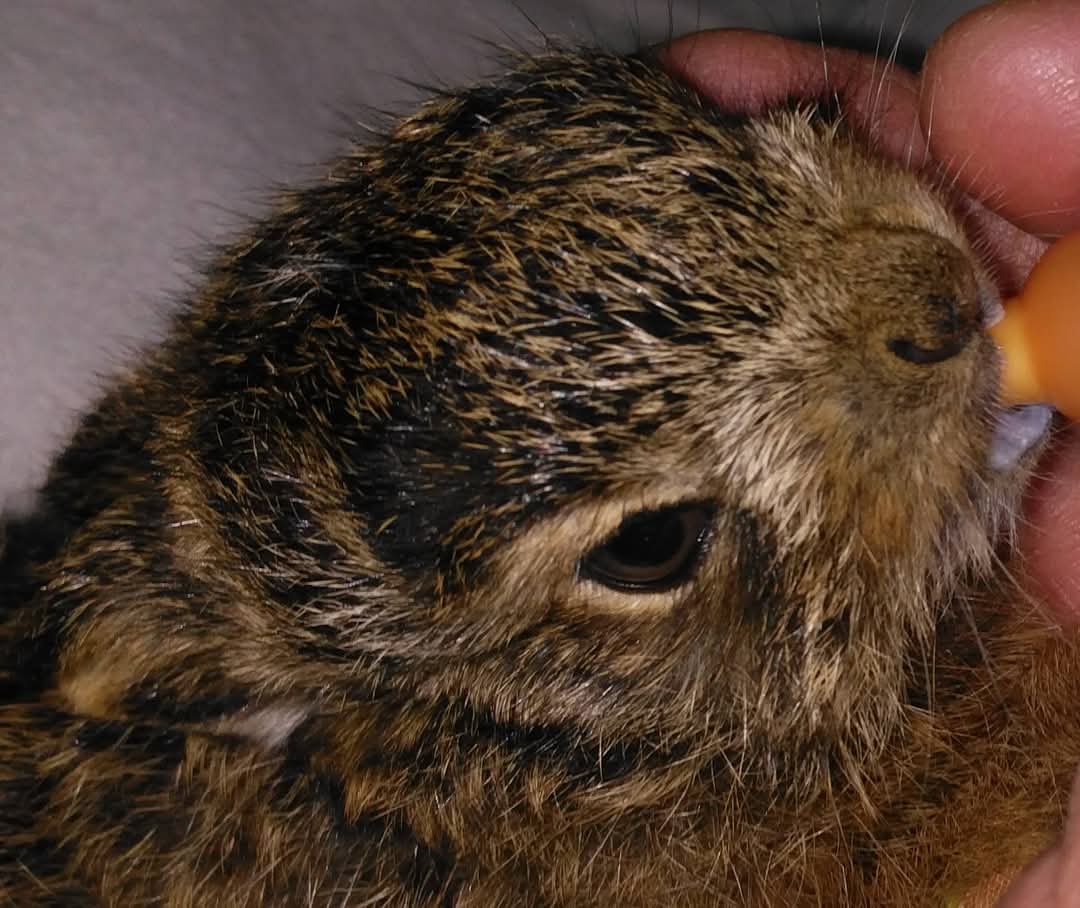 Wendy van der Steen 'ZijvandeCatering' tweet media