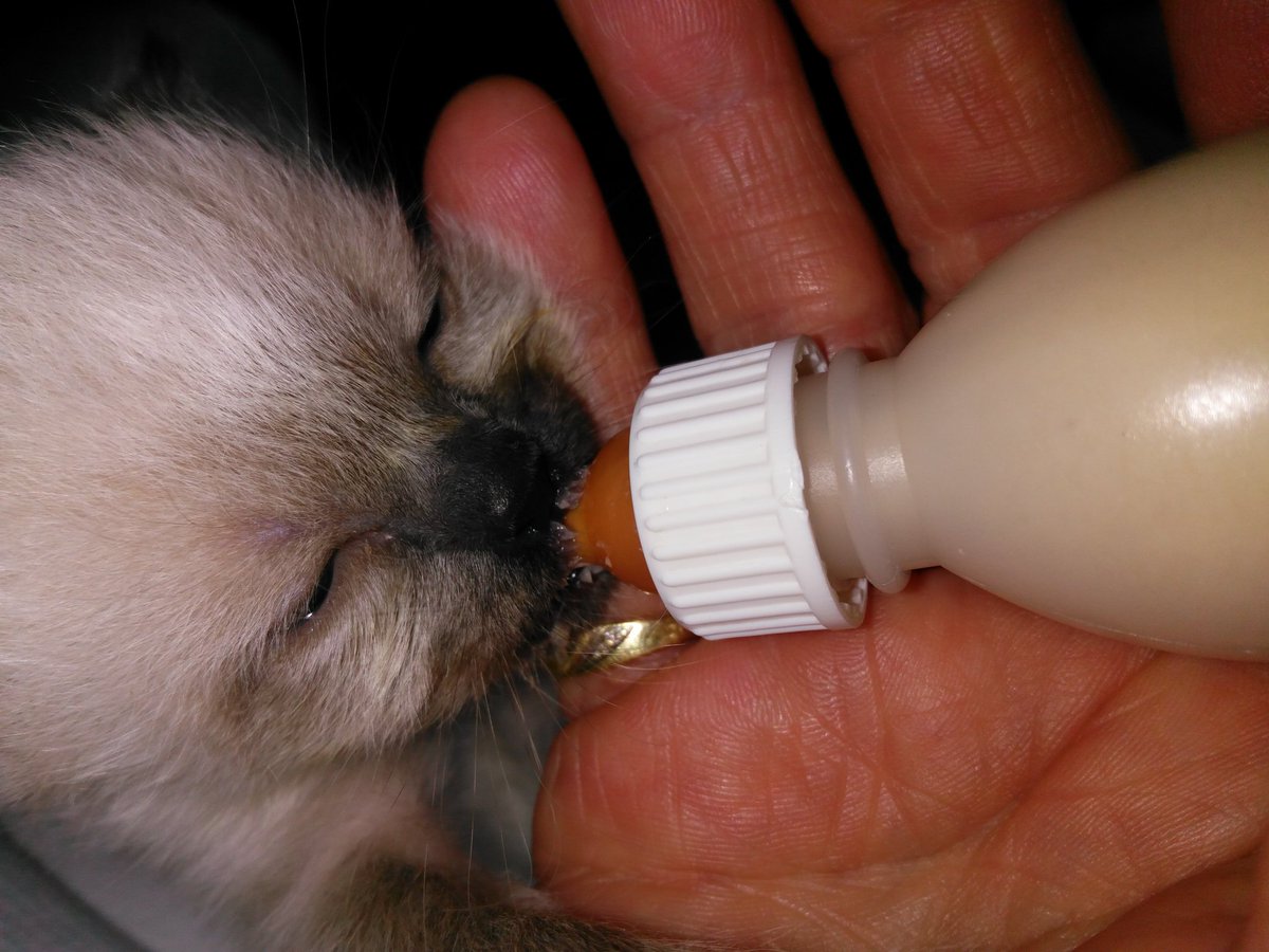 Wendy van der Steen 'ZijvandeCatering' tweet media