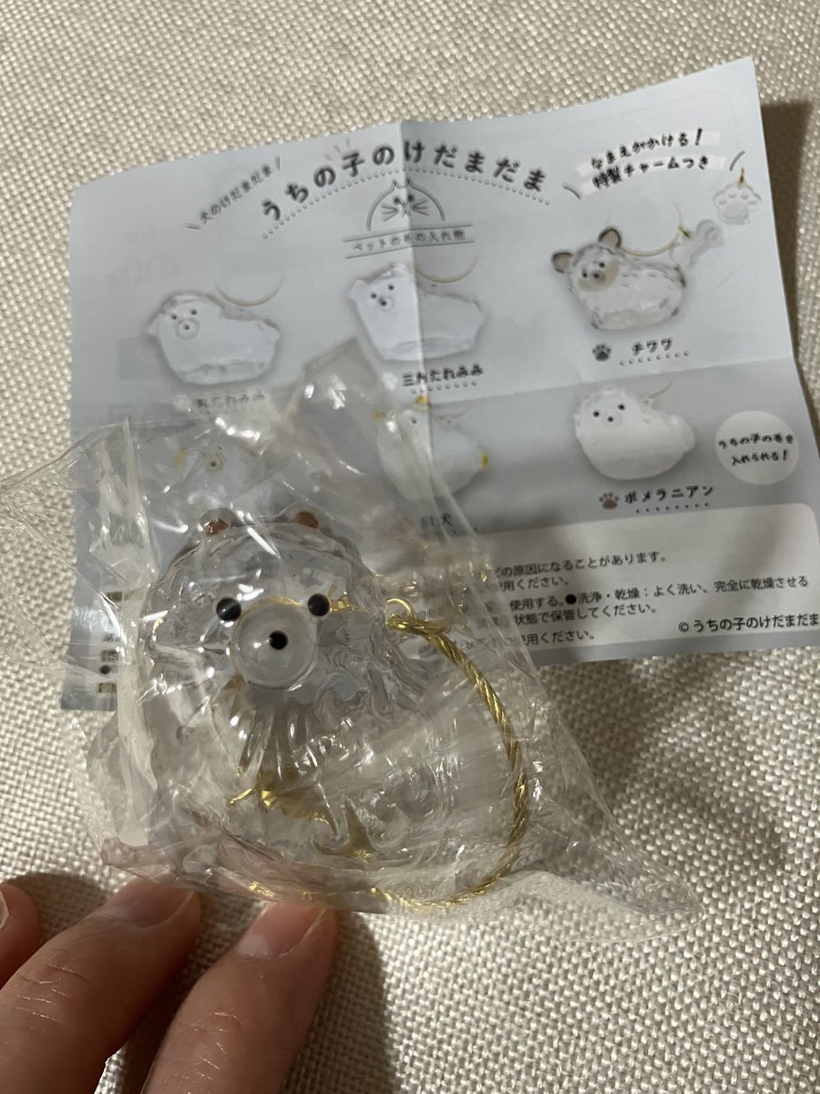 ひとぬり tweet media