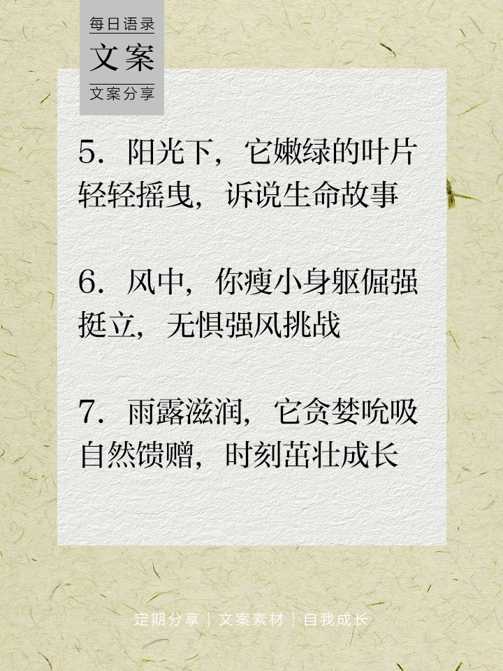 Ersin Çoban tweet media