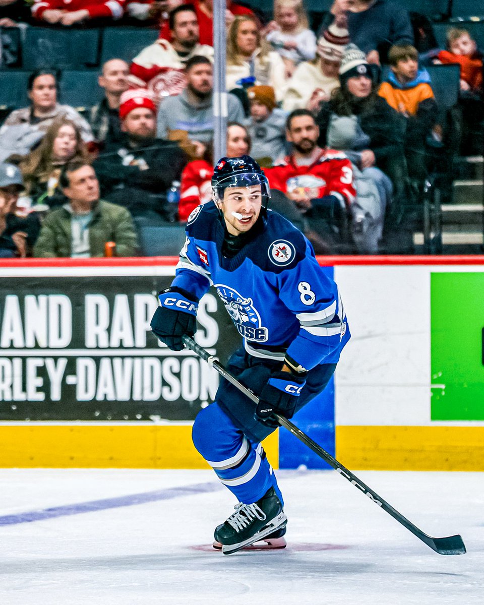 Manitoba Moose tweet media