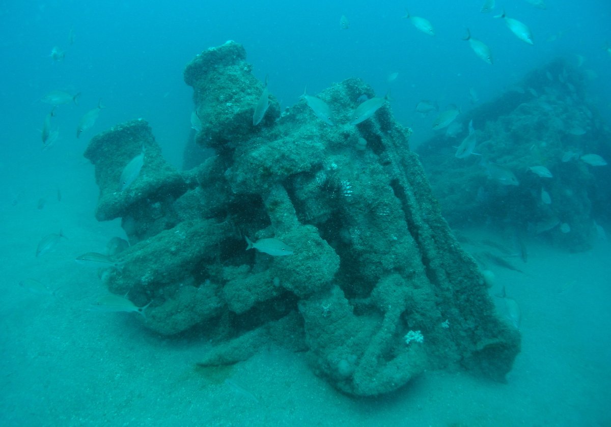 Iván Fernández Amil tweet media