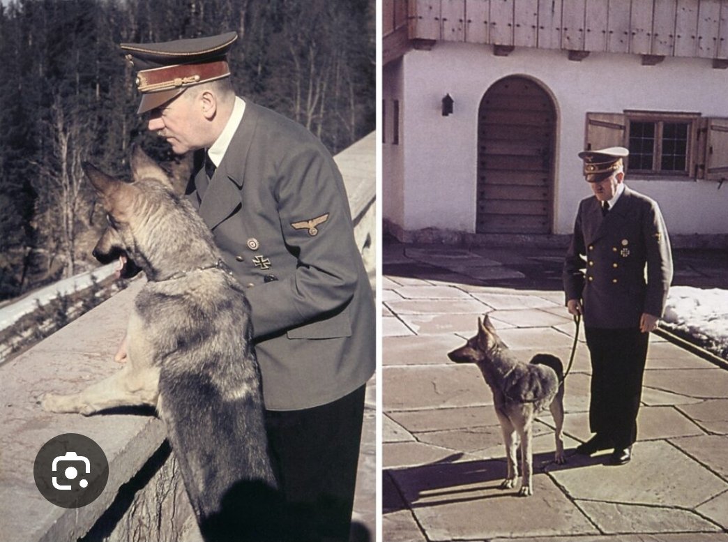 Felipe Angel tweet media