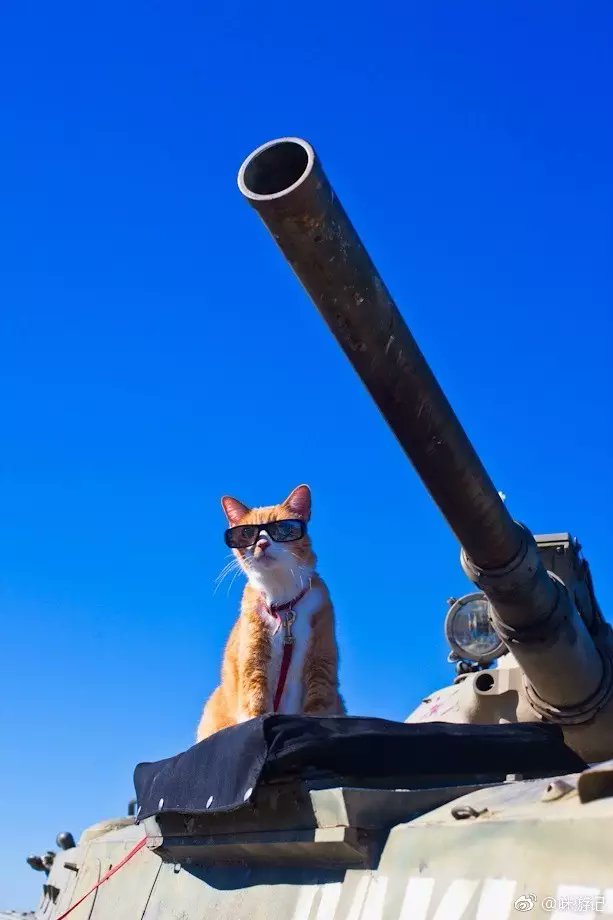 brittany tweet media