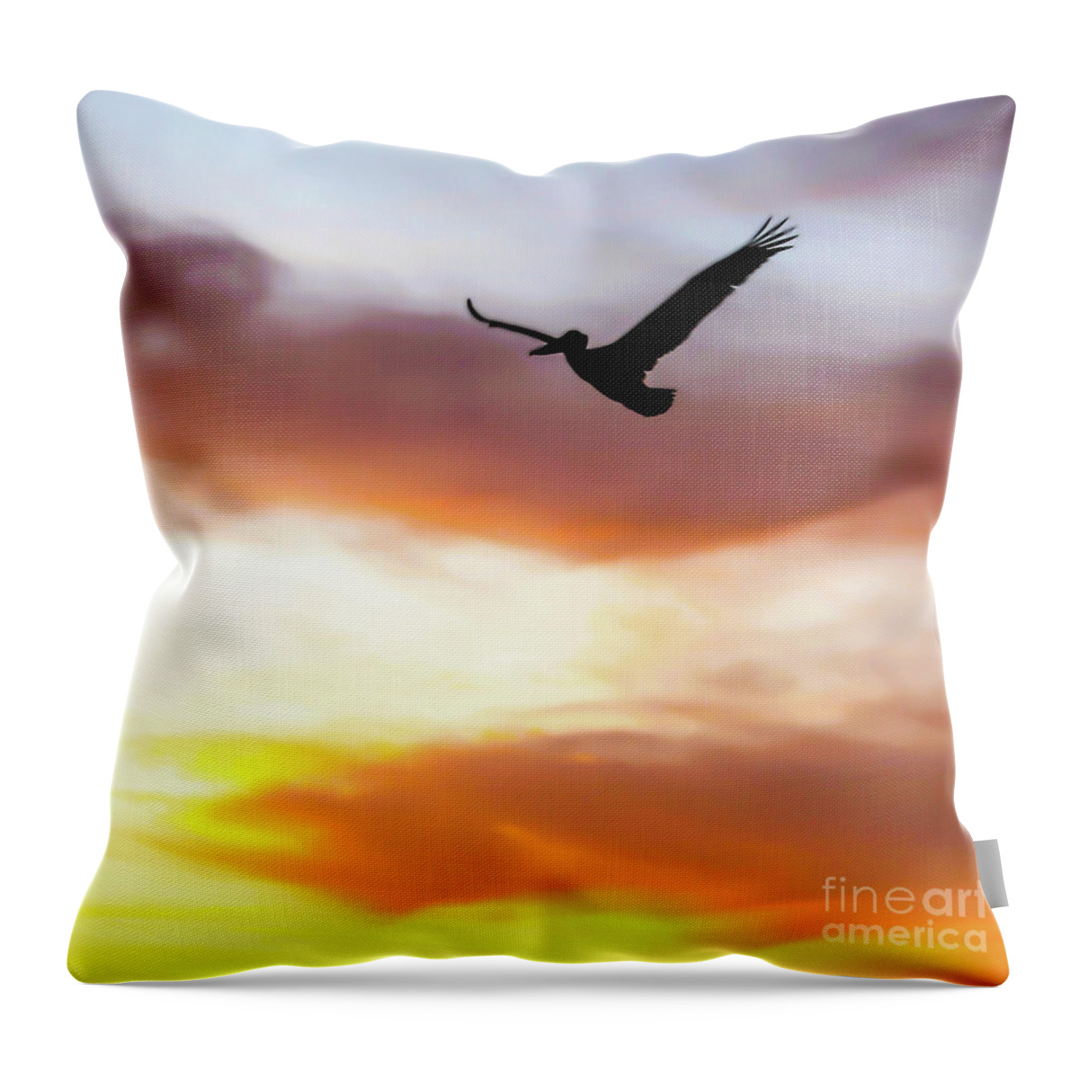 Joanne Carey Photography tweet media