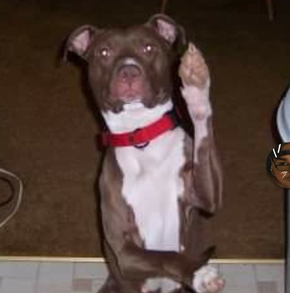 Dan Shoemaker tweet media