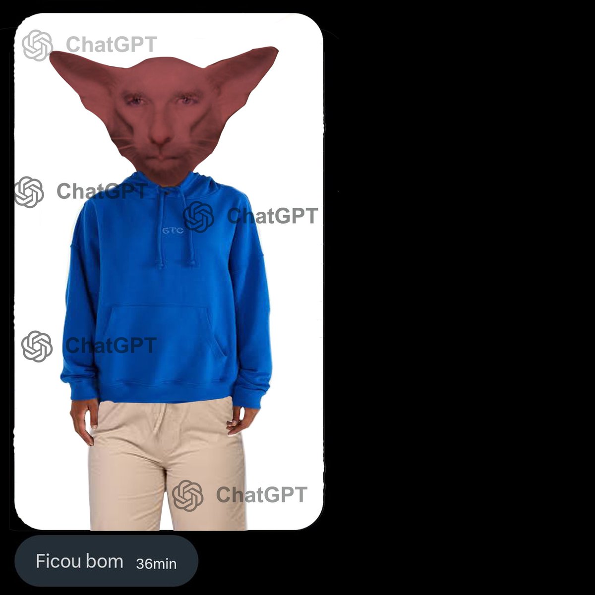 Gastwitt_ (4/5 comms) tweet media