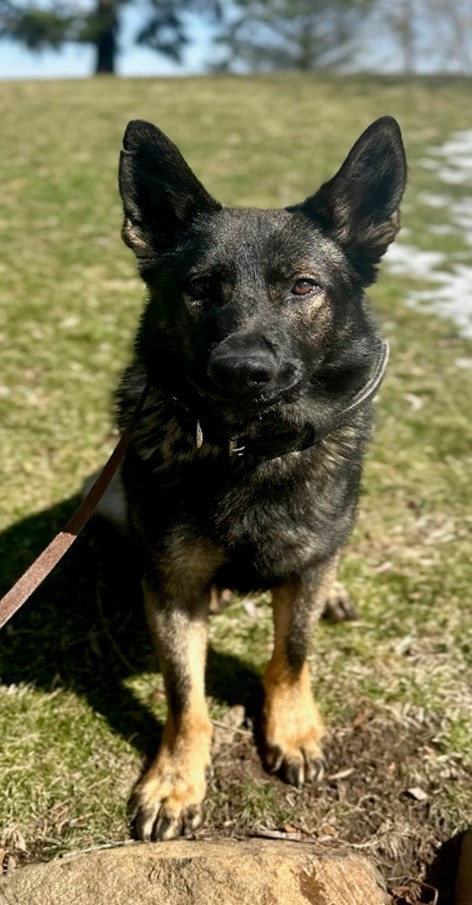 Village of Fox Lake tweet media