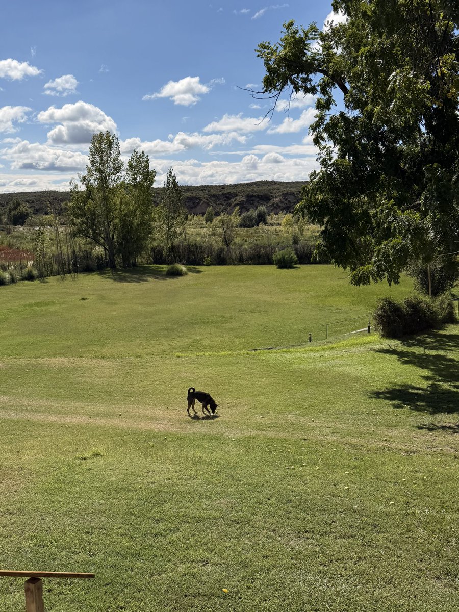 LaBitoria🍷🐶 tweet media