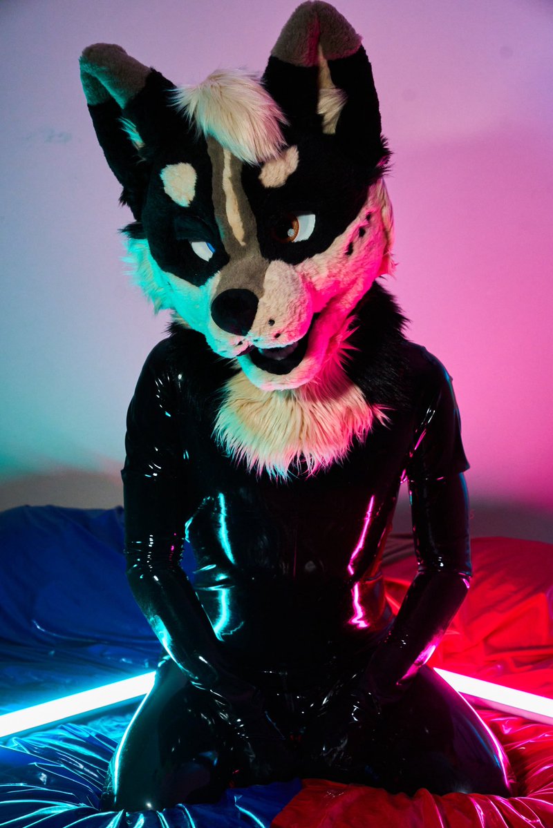 Ziggy Zaggy tweet media