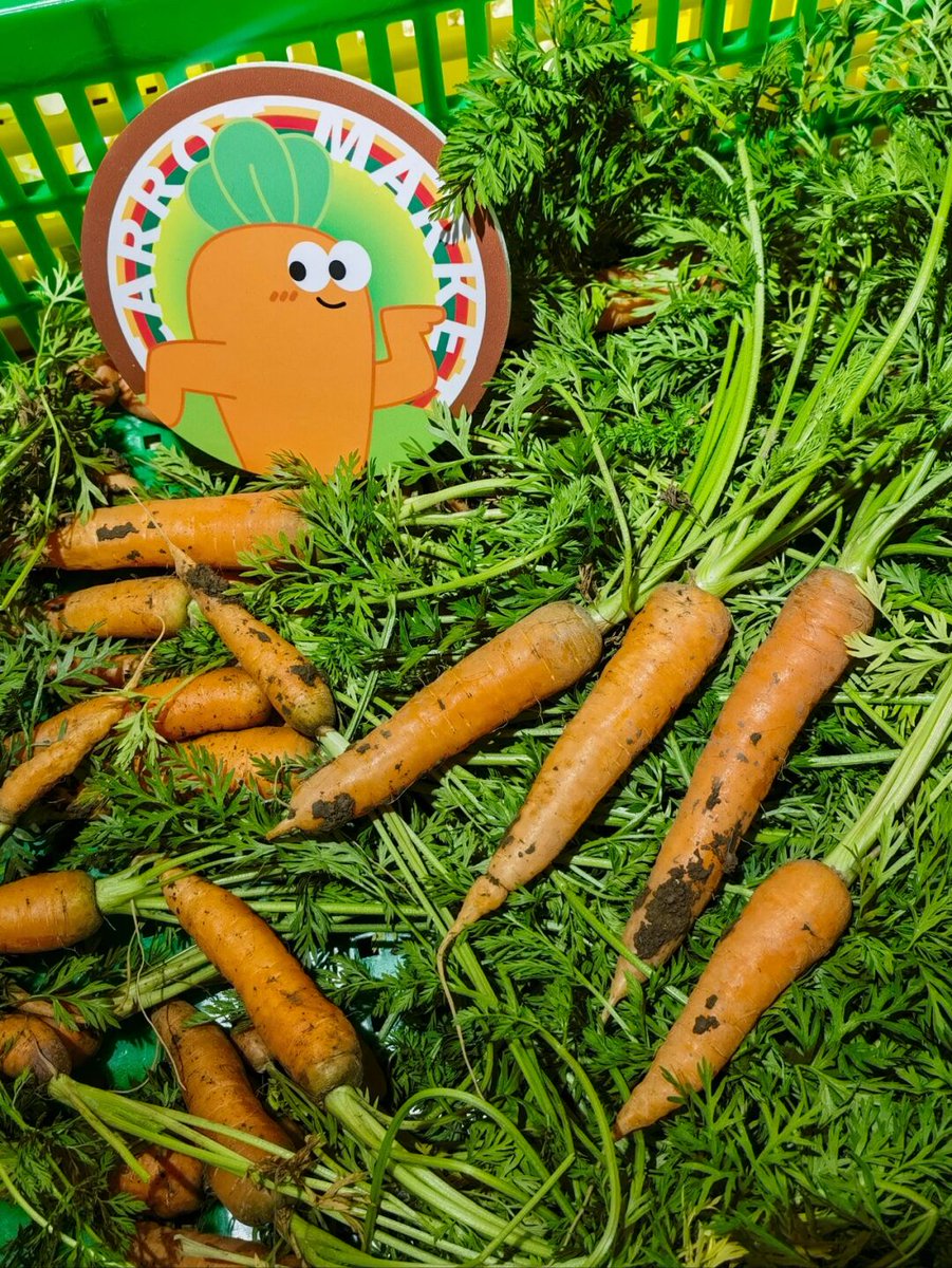 sarah oubre tweet media