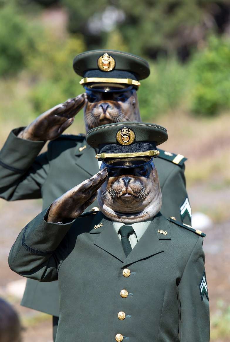 Psychro |☢️👻| The Survivalist (DoomChuds) tweet media