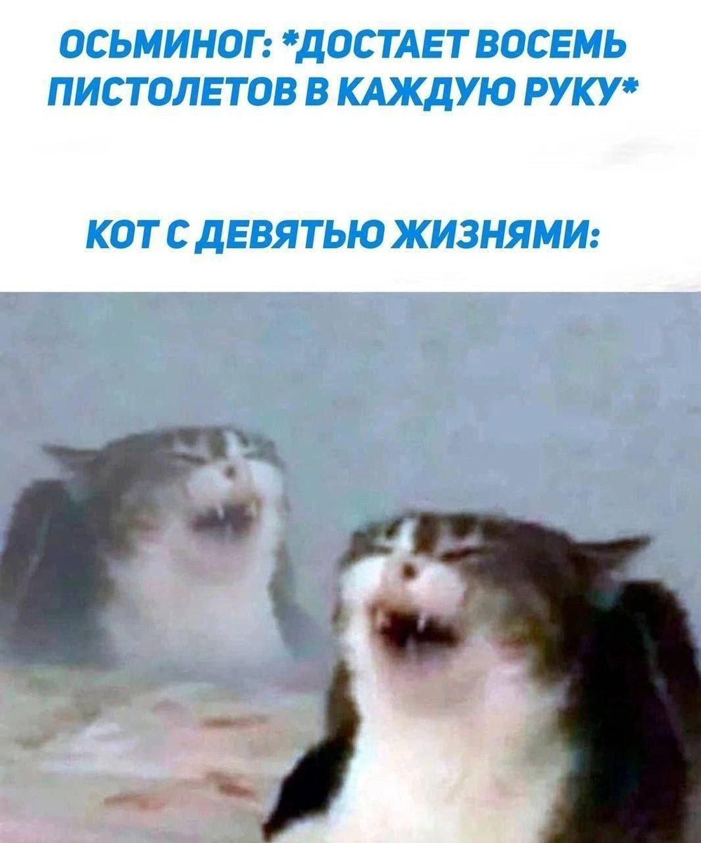 Василий Новиков tweet media