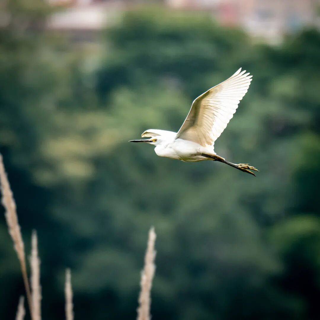 Justin Hare tweet media