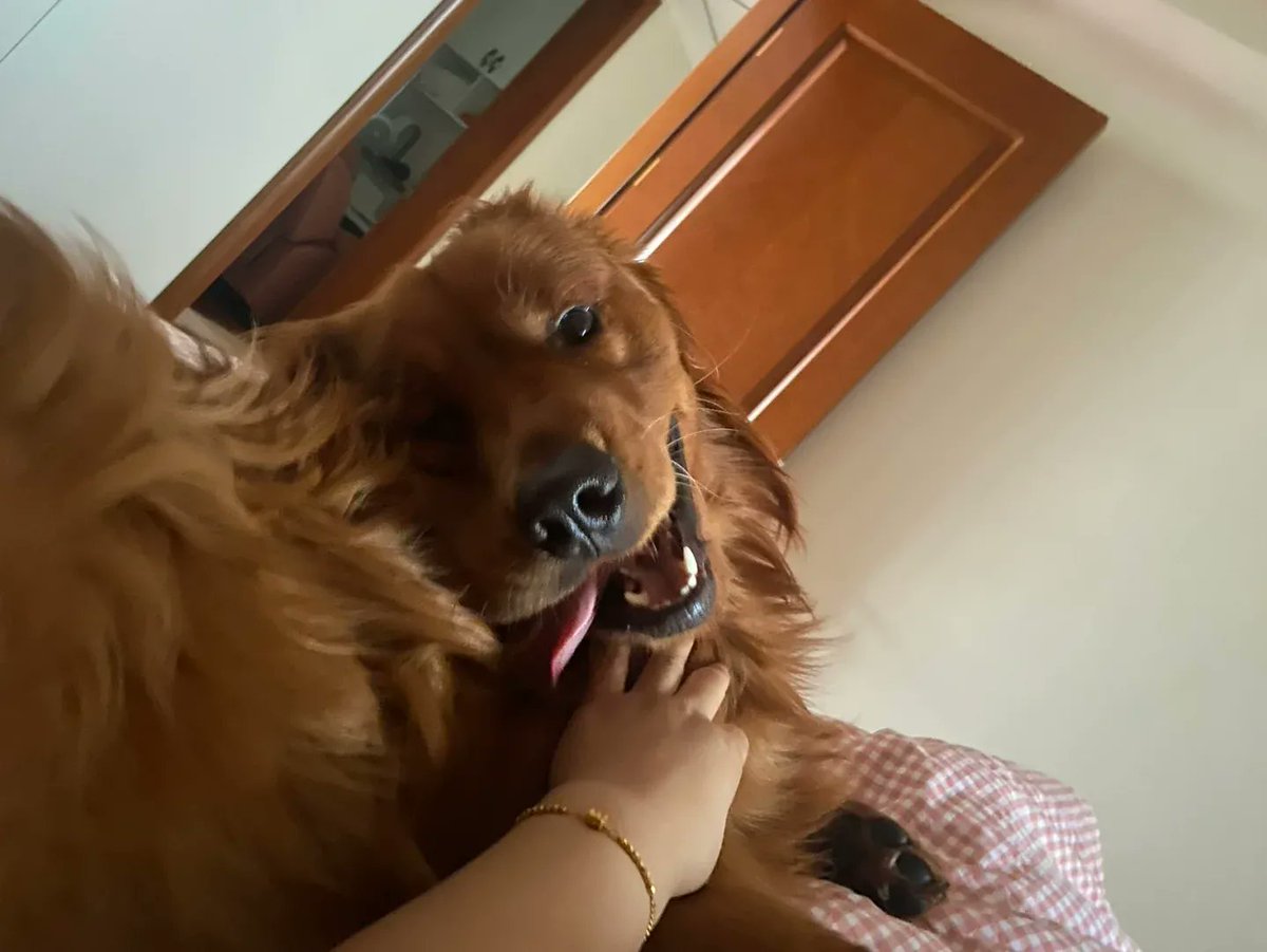 melissa wilson tweet media