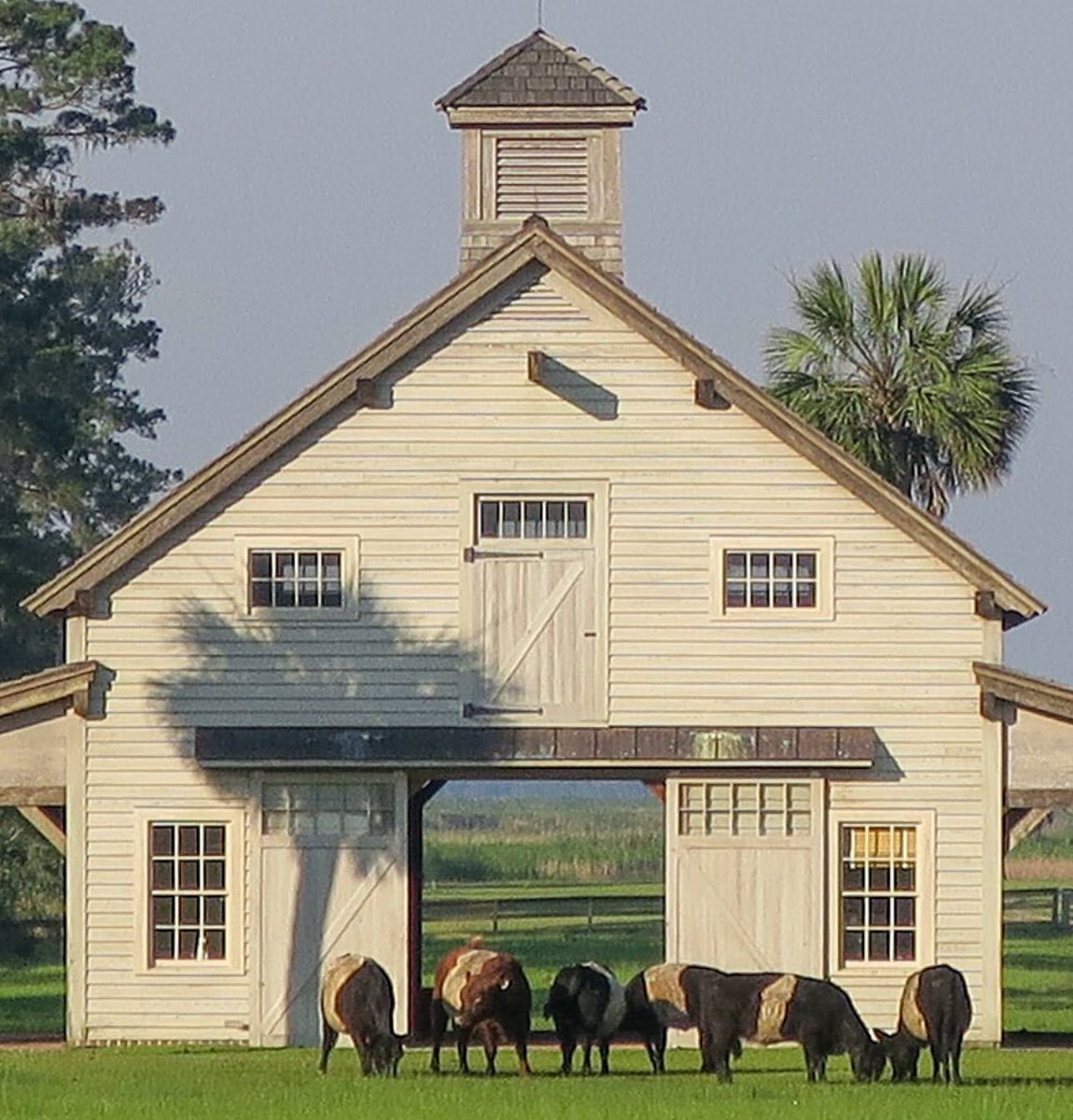 Henry Cameron tweet media