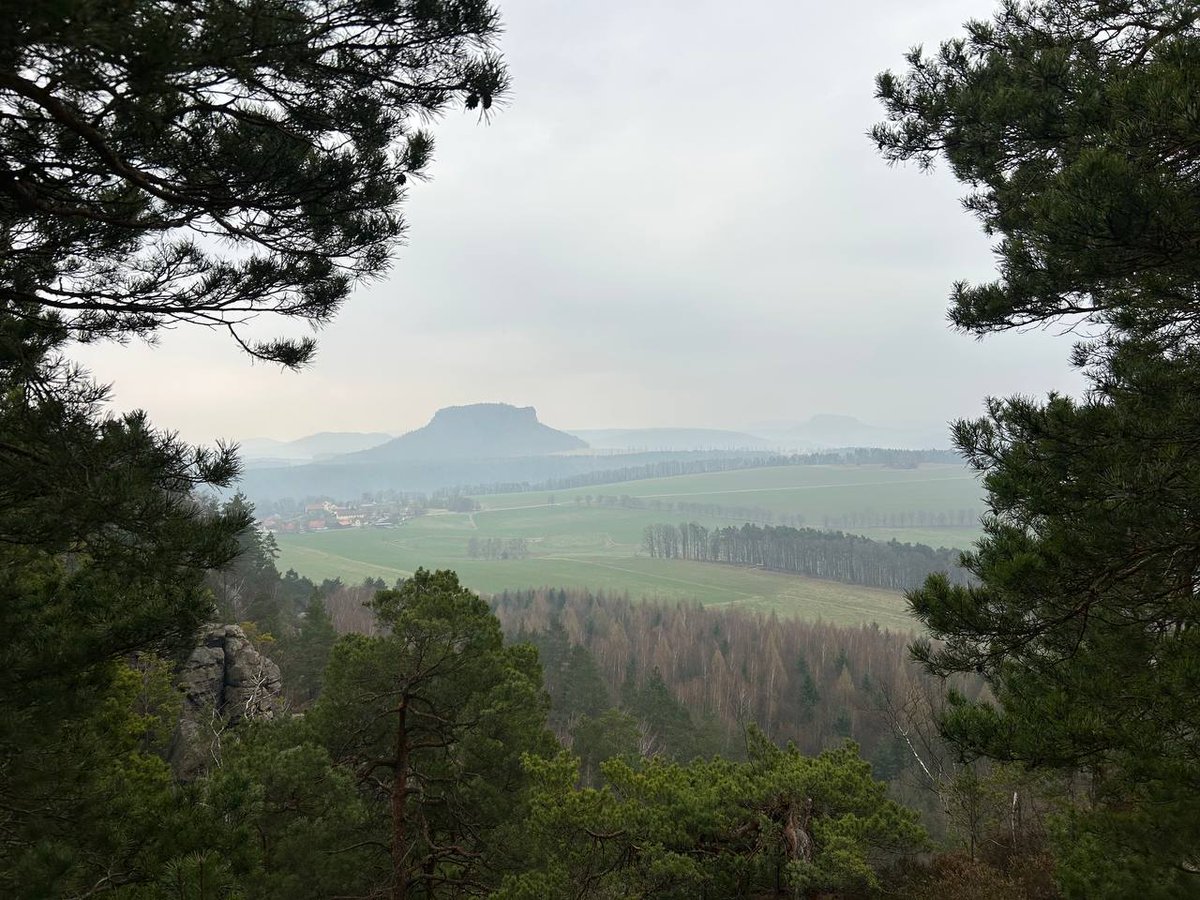 Cleofide tweet media