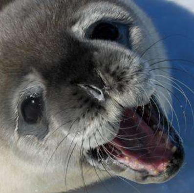 Psychro |☢️👻| The Survivalist (DoomChuds) tweet media