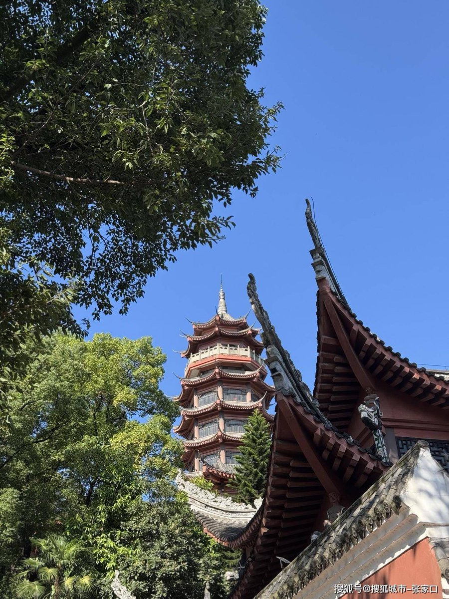 Nicholas Chiasson tweet media