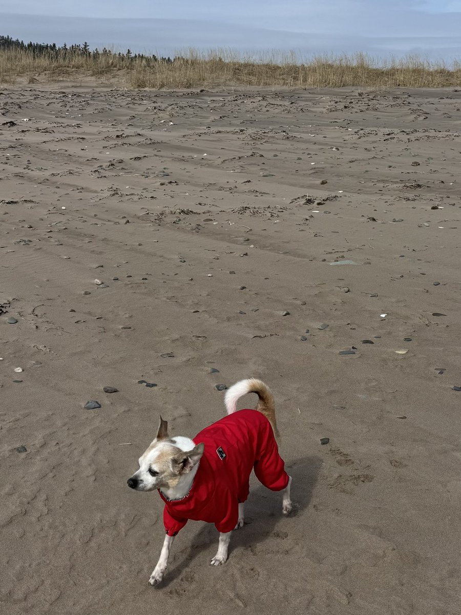 StabbyTimeTV tweet media