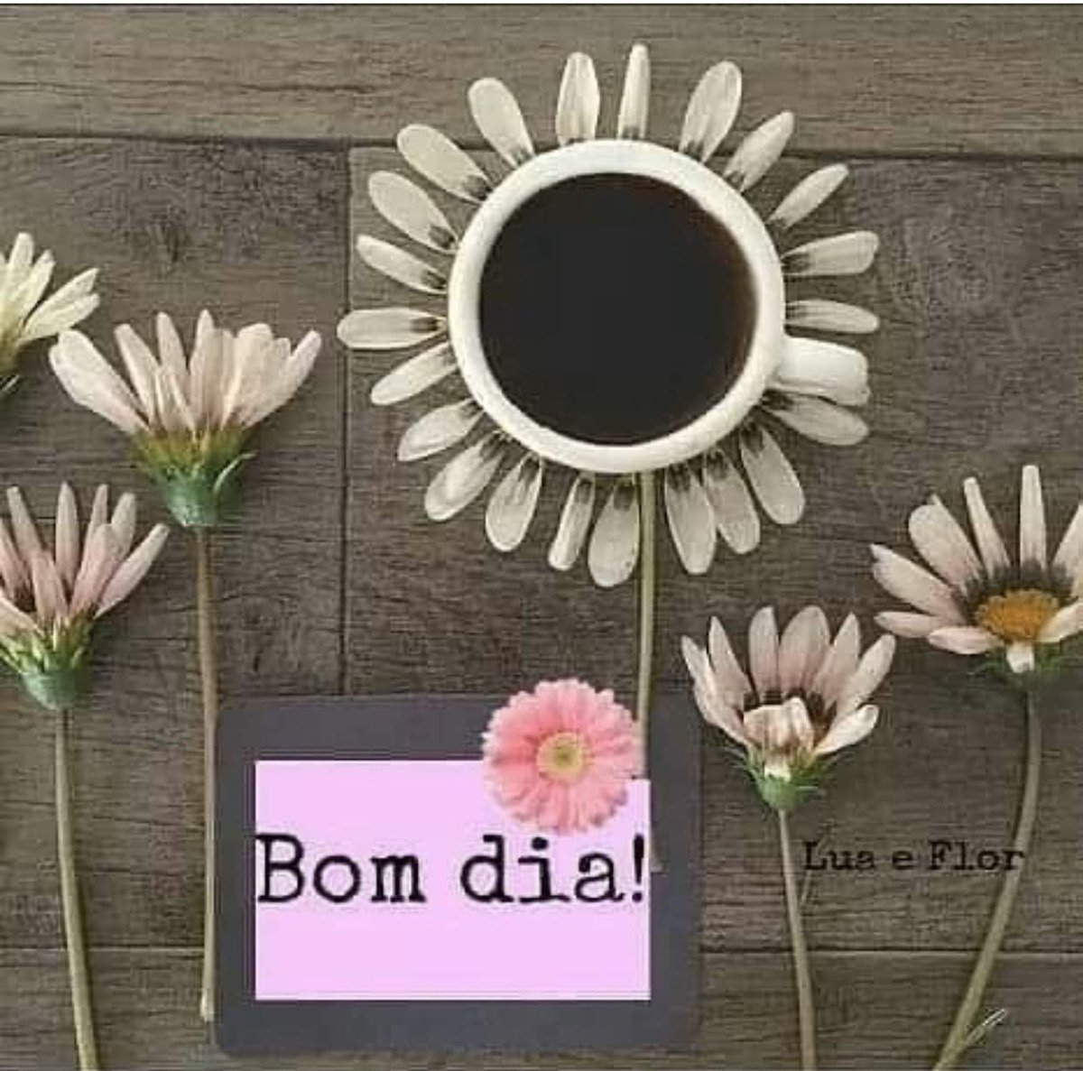 Enos Mendes tweet media