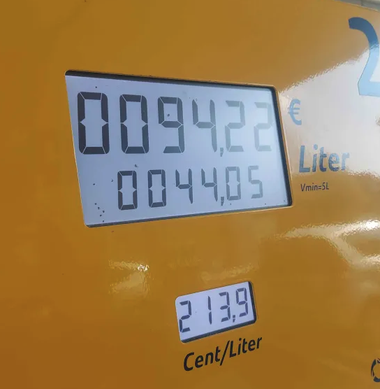 Lobelia 🌺 🌿 Deer of Divinity VTuber 🌺🌿 tweet media