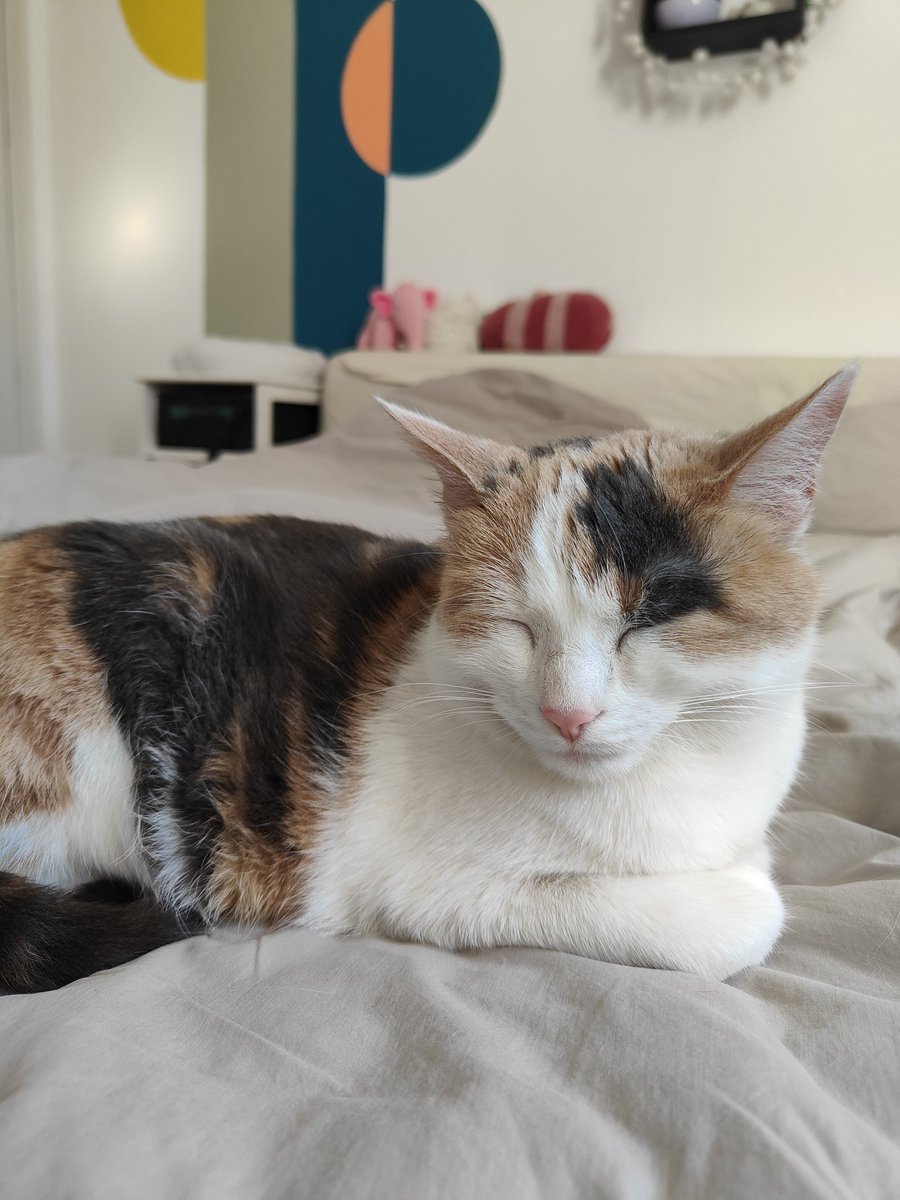 matchalien tweet media