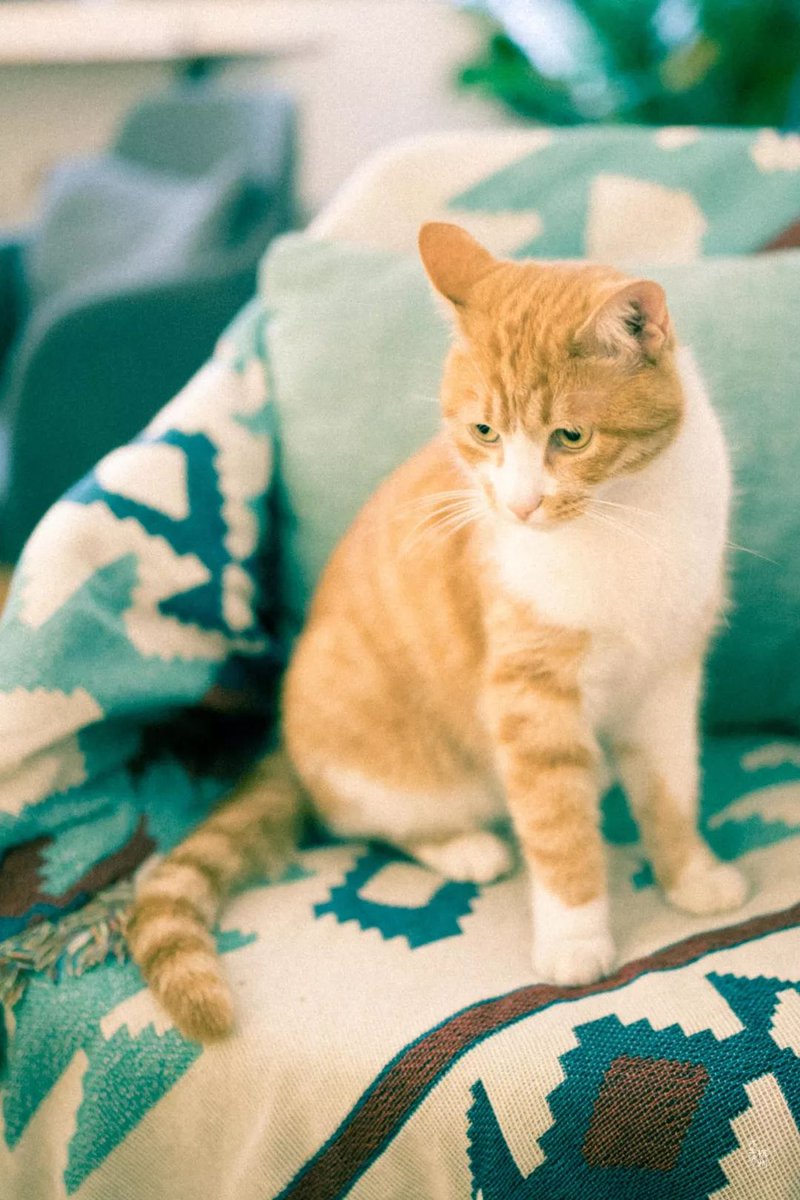 Maria Vitman tweet media