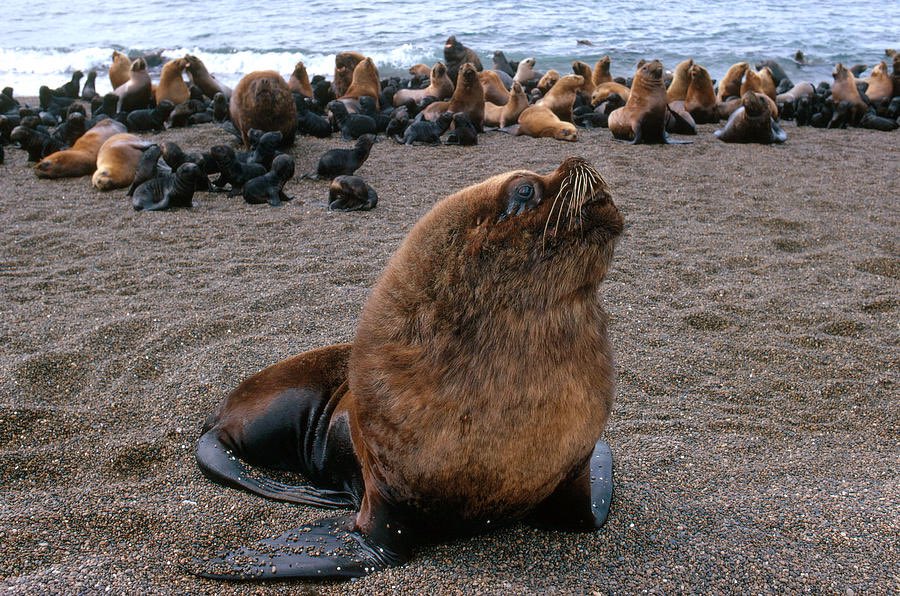 nana kleinfrankenheim tweet media