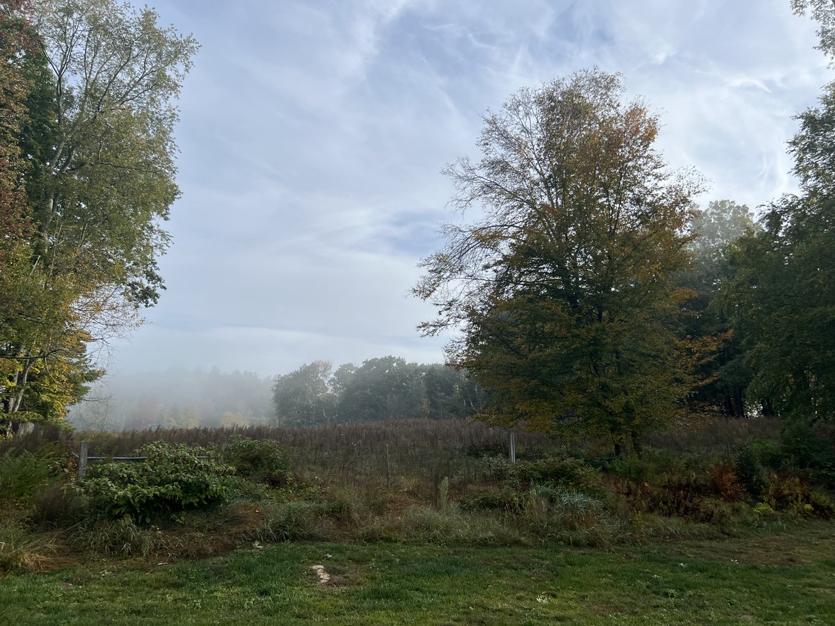 Henry Cameron tweet media