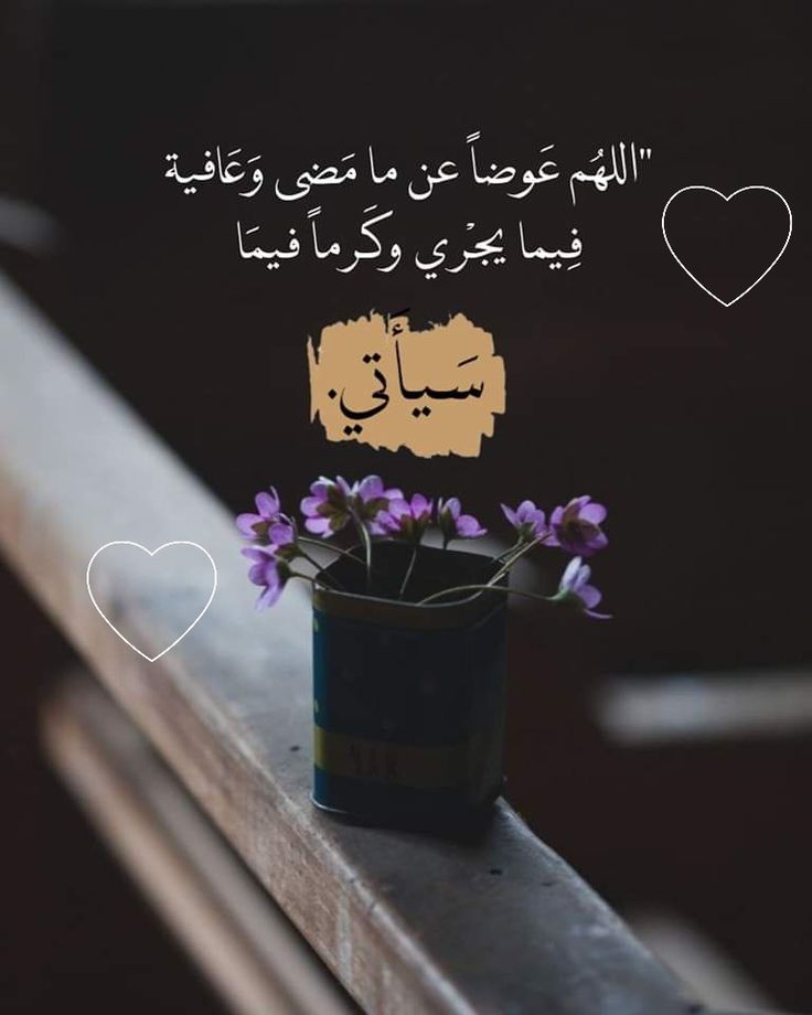 🌷رهف 🌹🌹 tweet media