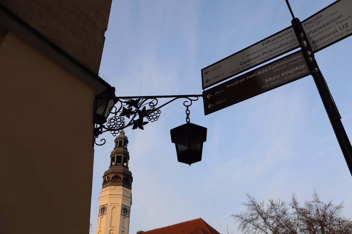 Sylwia Ratajczak tweet media