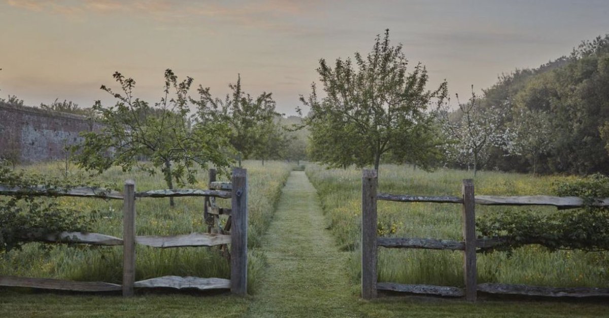 Henry Cameron tweet media