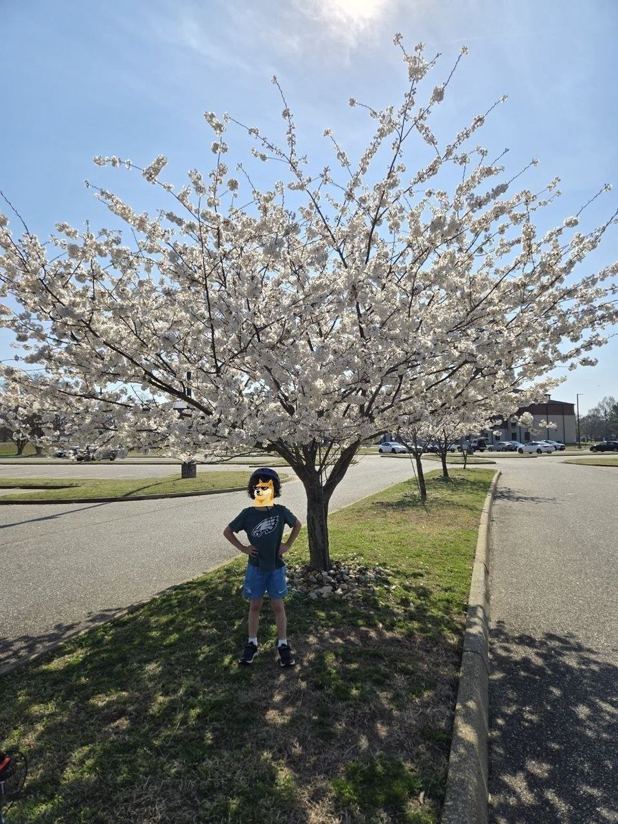 Peter Mitchell tweet media