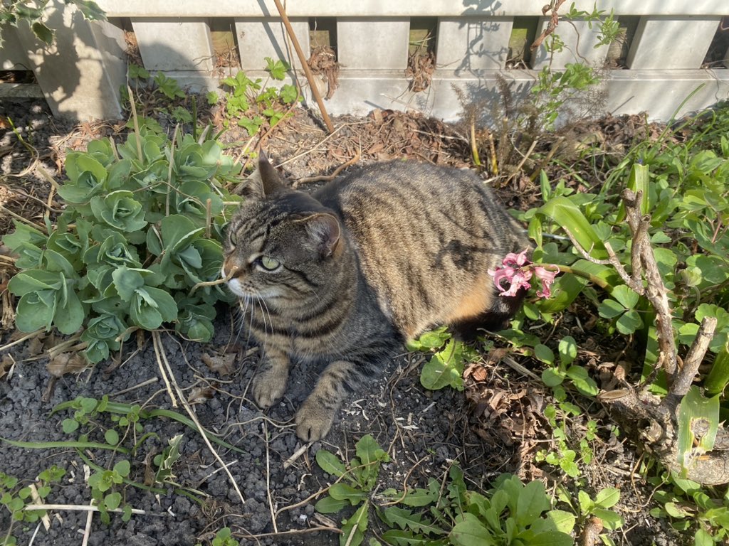 𝔩𝑦𝔰 🕷️ ⛧ tweet media