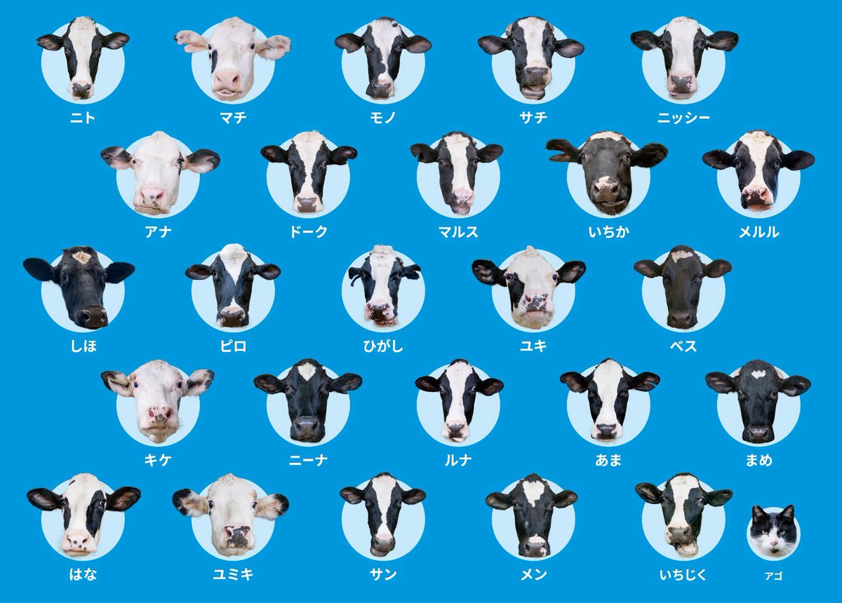 けんけん │ 須藤牧場 | 中小企業診断士 tweet media