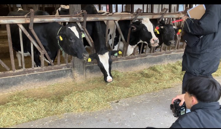 けんけん │ 須藤牧場 | 中小企業診断士 tweet media